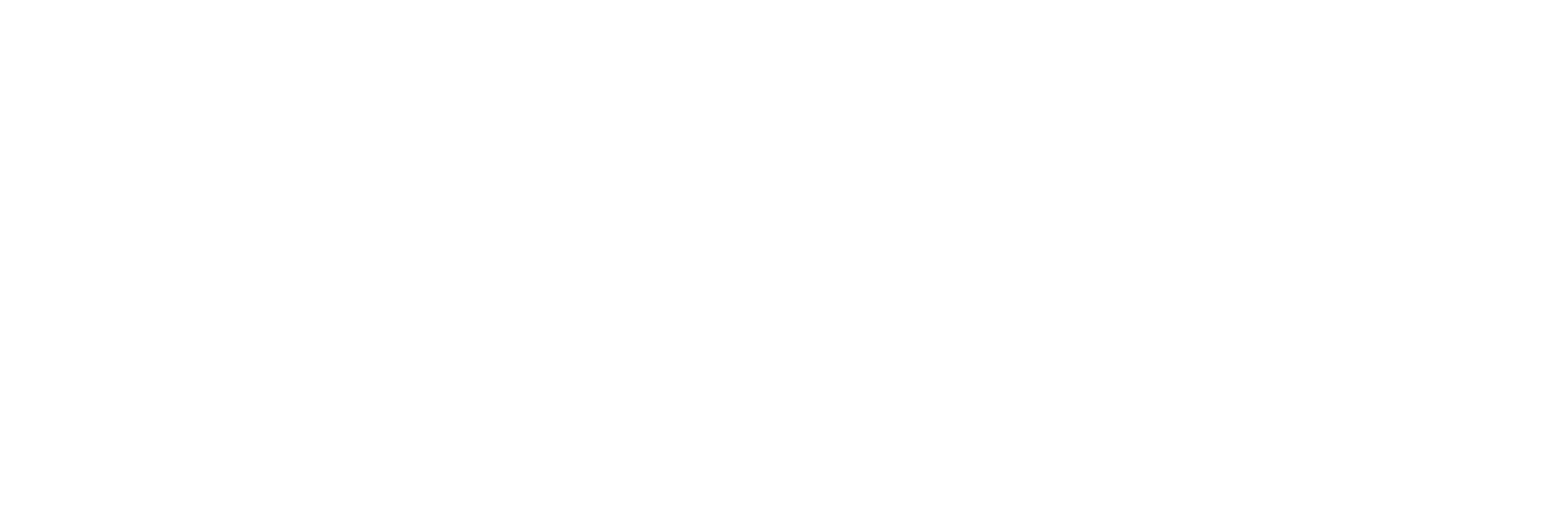 FlexArmor, The Original Sprayed RV Roof